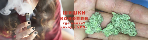 ПСИЛОЦИБИНОВЫЕ ГРИБЫ Белокуриха