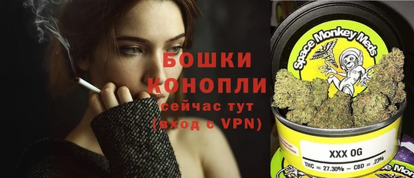 ПСИЛОЦИБИНОВЫЕ ГРИБЫ Белокуриха