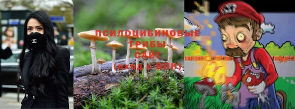 винт Беломорск