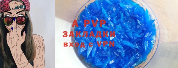ПСИЛОЦИБИНОВЫЕ ГРИБЫ Белокуриха